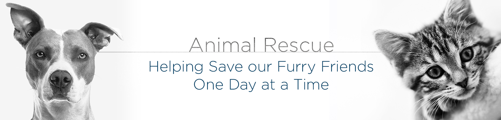 Animal Rescue